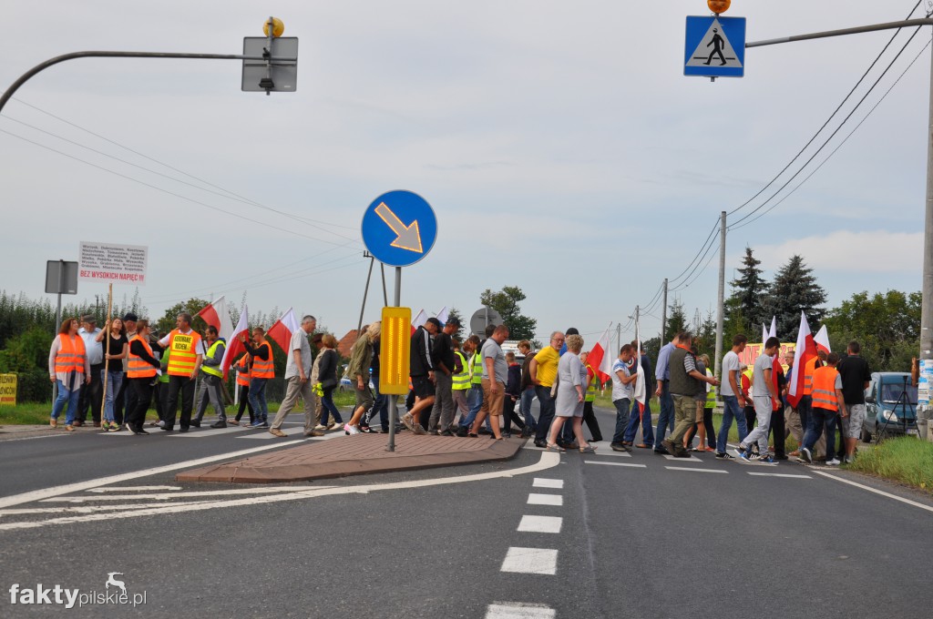 Pikieta przeciwko linii 400 kV