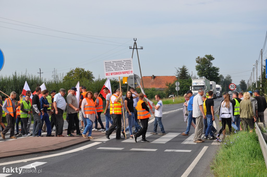 Pikieta przeciwko linii 400 kV
