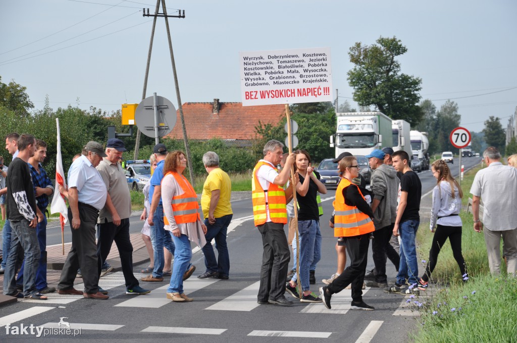 Pikieta przeciwko linii 400 kV