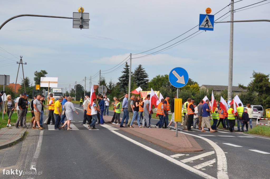 Pikieta przeciwko linii 400 kV