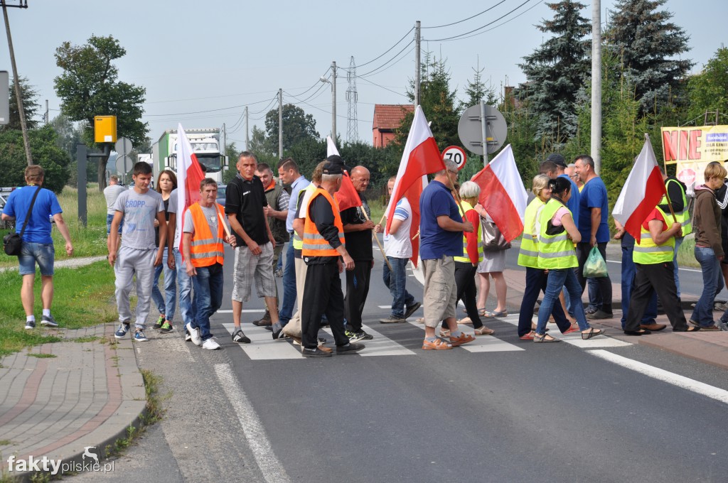 Pikieta przeciwko linii 400 kV