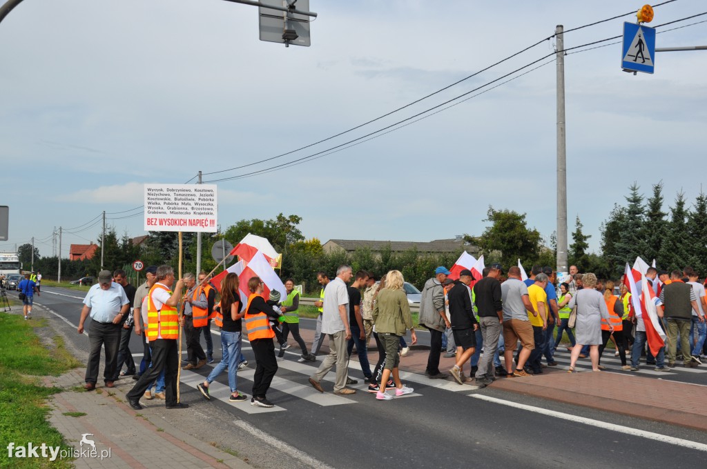 Pikieta przeciwko linii 400 kV