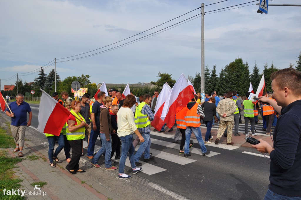 Pikieta przeciwko linii 400 kV