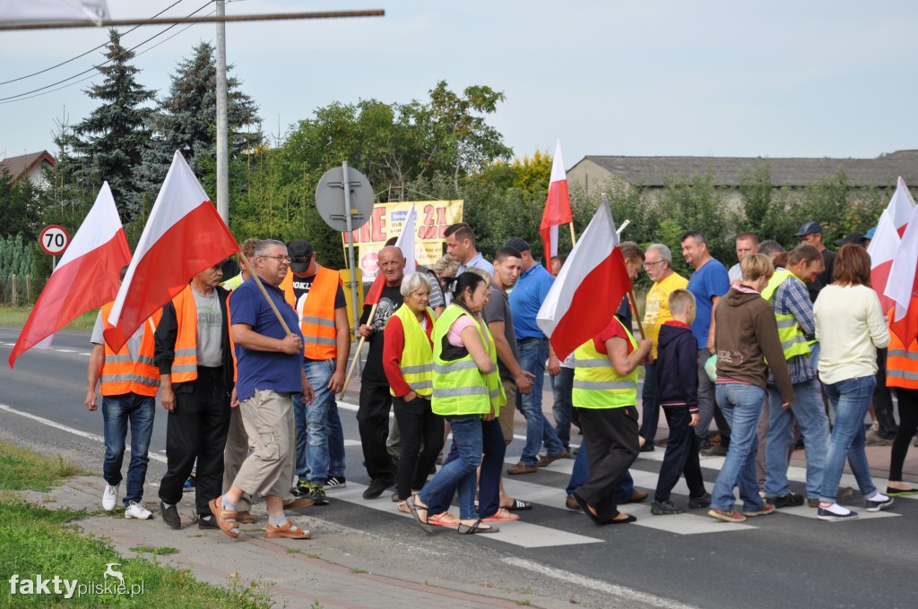 Pikieta przeciwko linii 400 kV