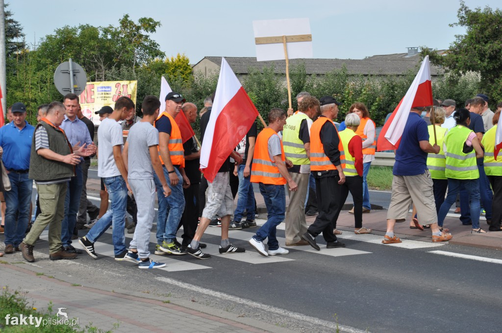 Pikieta przeciwko linii 400 kV