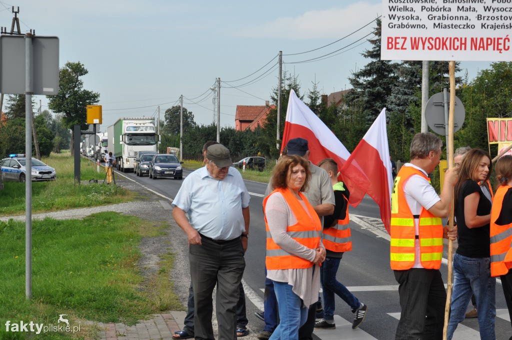 Pikieta przeciwko linii 400 kV