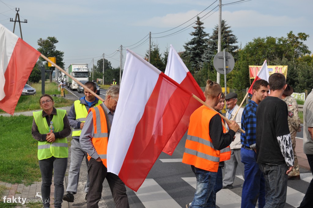 Pikieta przeciwko linii 400 kV