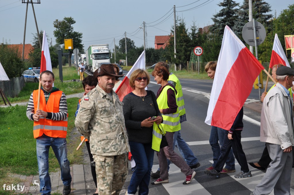 Pikieta przeciwko linii 400 kV