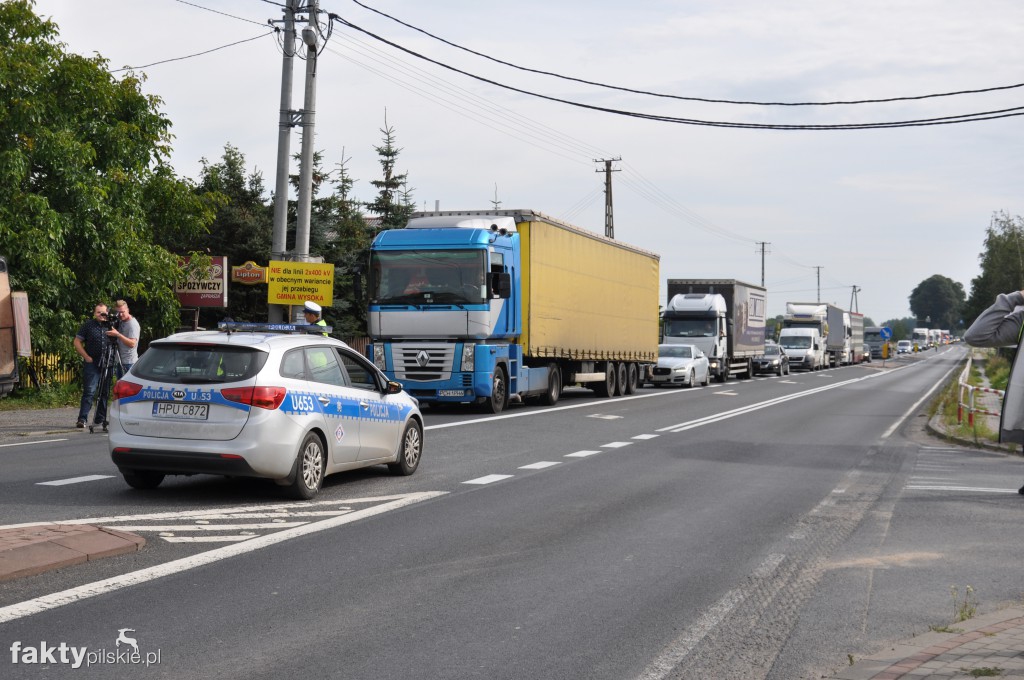 Pikieta przeciwko linii 400 kV