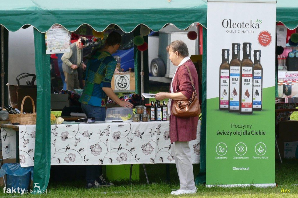 Festiwal Kuchni Wielkopolskiej w Pile