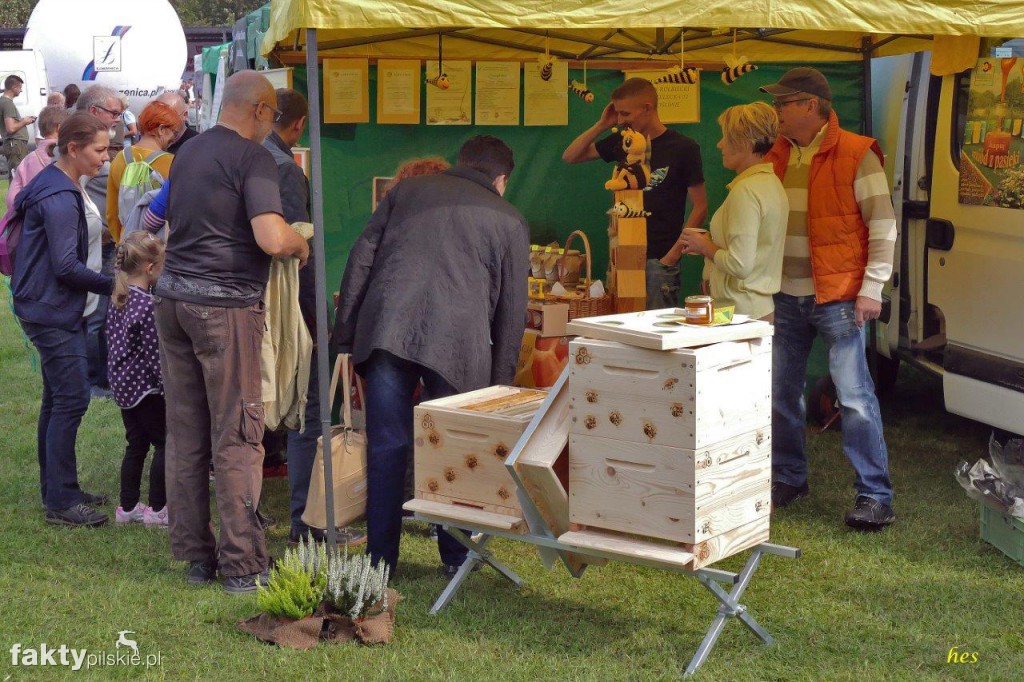 Festiwal Kuchni Wielkopolskiej w Pile