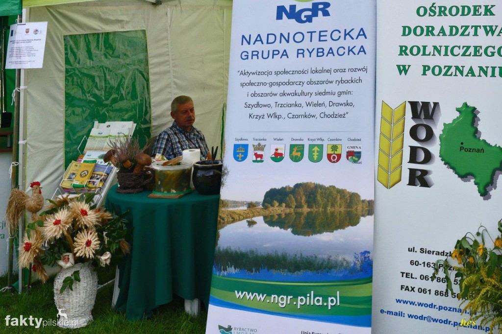 Festiwal Kuchni Wielkopolskiej w Pile