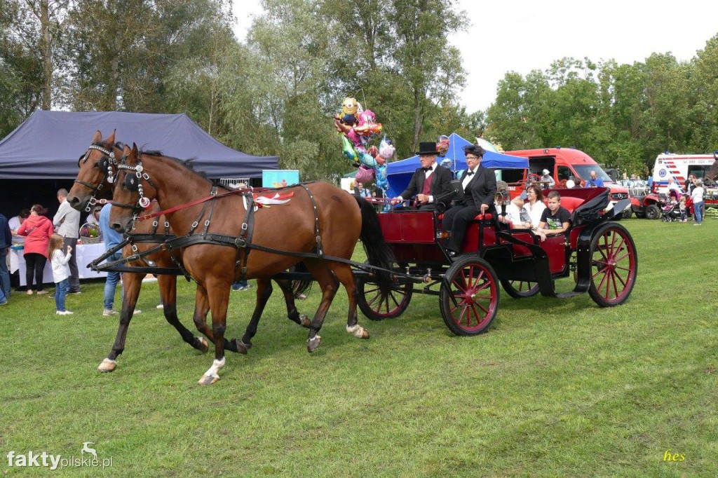 Festiwal Kuchni Wielkopolskiej w Pile