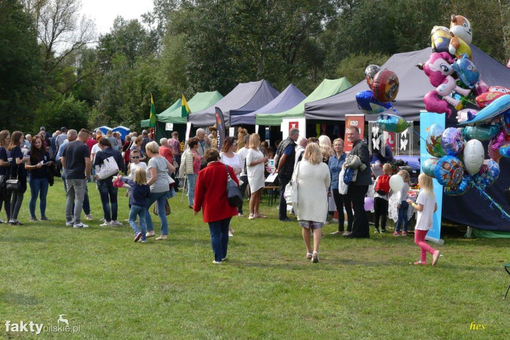 Festiwal Kuchni Wielkopolskiej w Pile