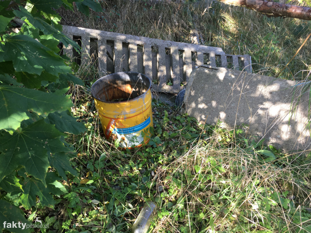 Śmietnisko na dawnej bocznicy