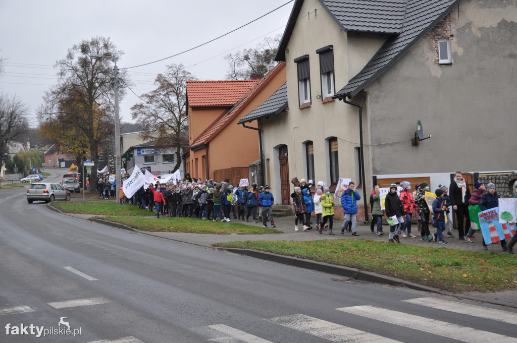 Marsz Antysmogowy w Białośliwiu