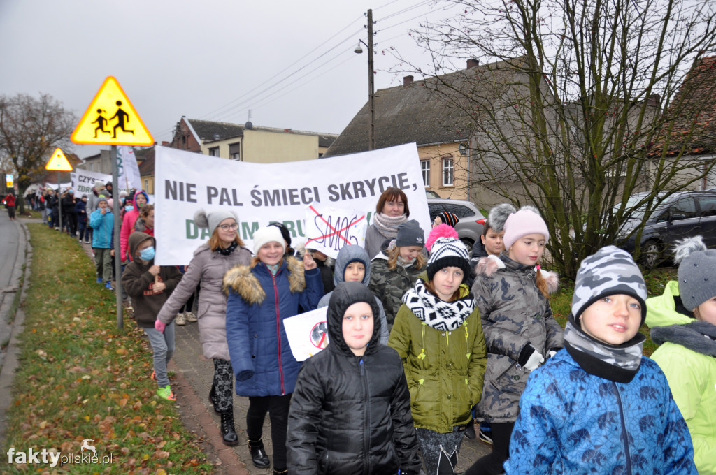 Marsz Antysmogowy w Białośliwiu