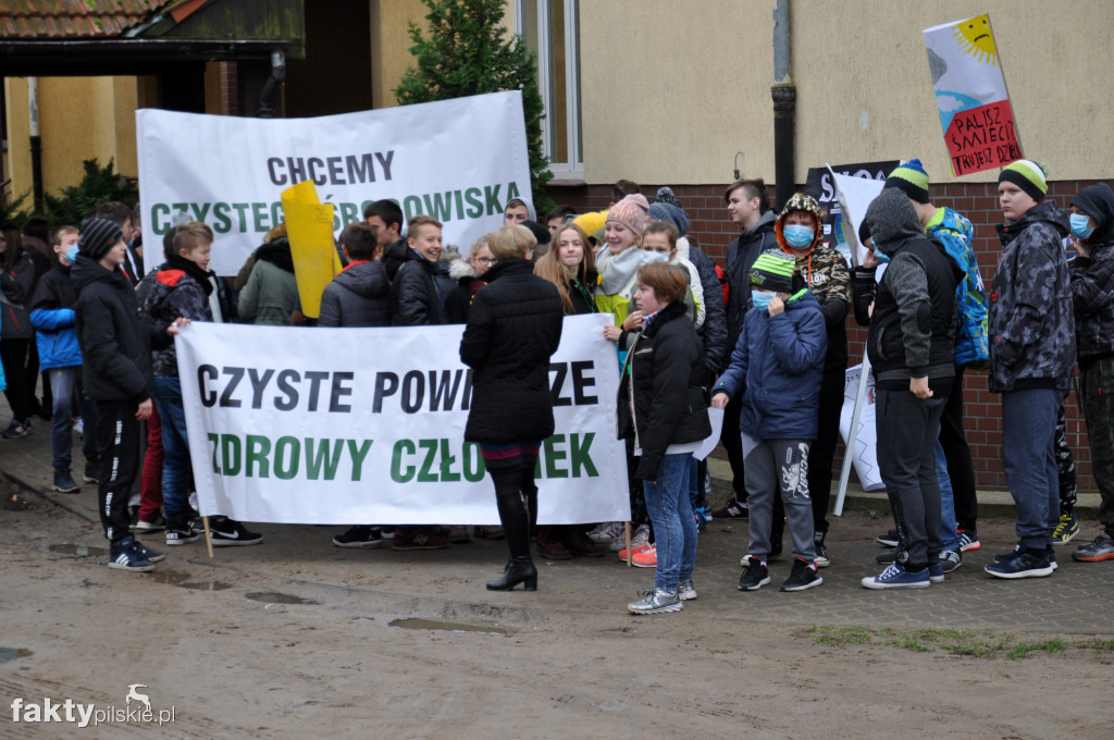 Marsz Antysmogowy w Białośliwiu