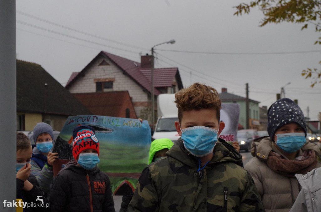 Marsz Antysmogowy w Białośliwiu