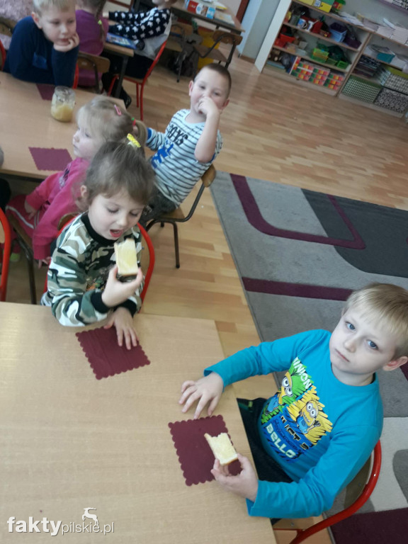 Dzień Kubusia Puchatka w Falmierowie