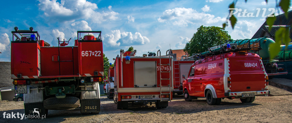 Piknik strażacki - zbierali dla chorej Ninki