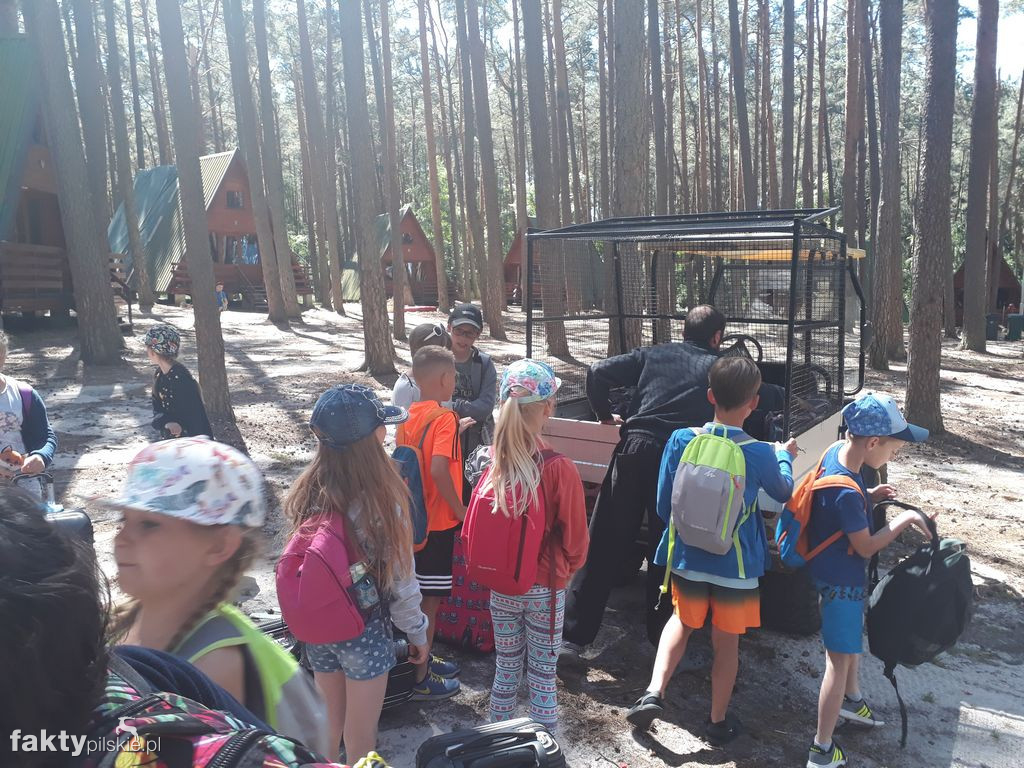 Białe Wilczki w Funce na Kaszubach