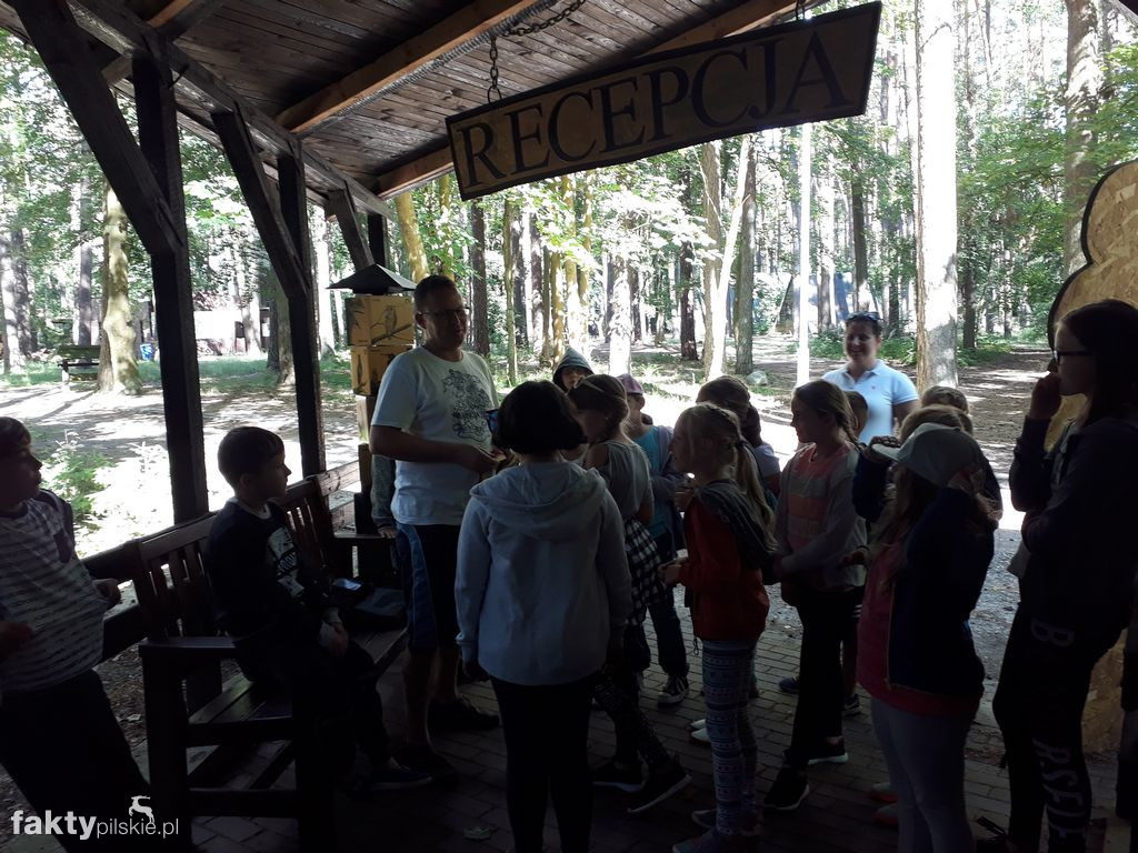 Białe Wilczki w Funce na Kaszubach