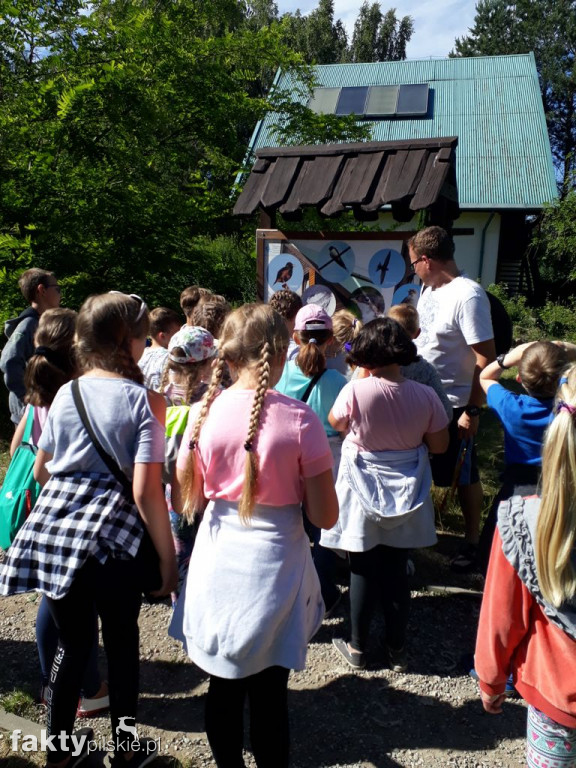 Białe Wilczki w Funce na Kaszubach