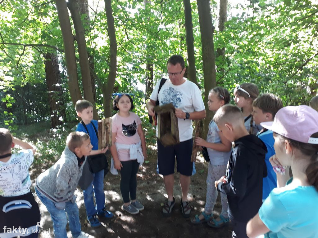 Białe Wilczki w Funce na Kaszubach