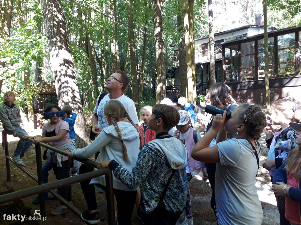 Białe Wilczki w Funce na Kaszubach