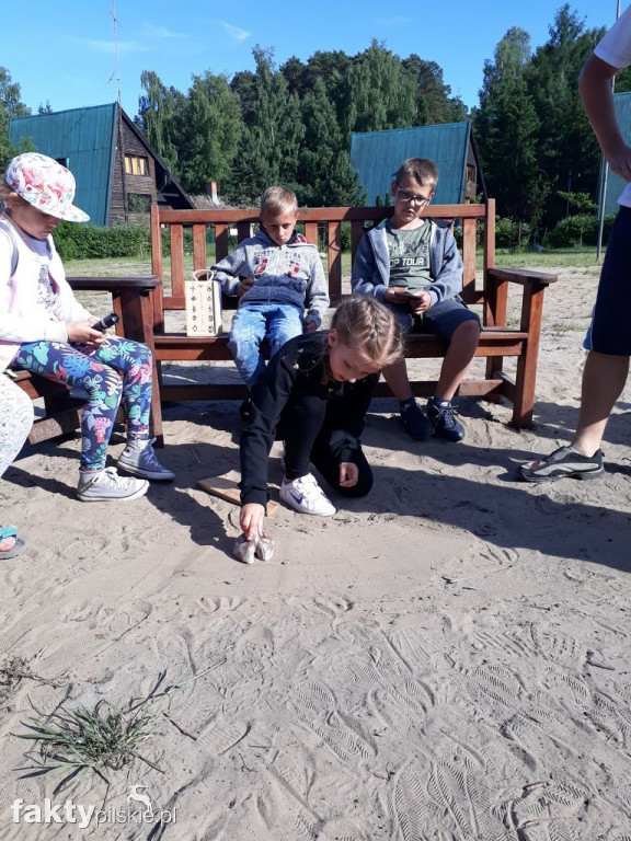 Białe Wilczki w Funce na Kaszubach