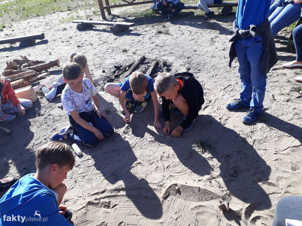 Białe Wilczki w Funce na Kaszubach