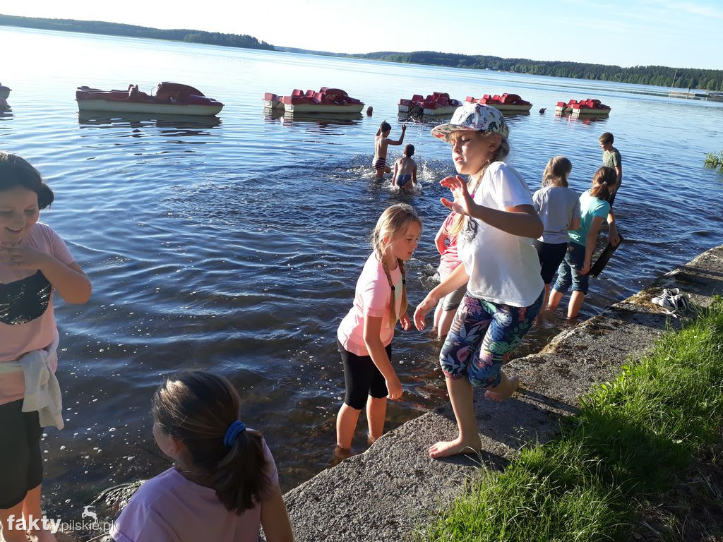 Białe Wilczki w Funce na Kaszubach