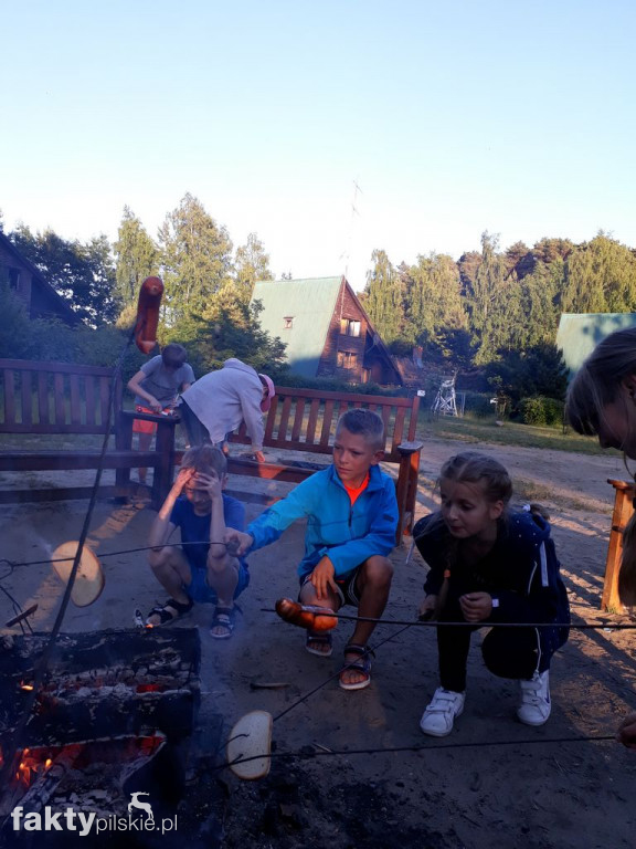 Białe Wilczki w Funce na Kaszubach