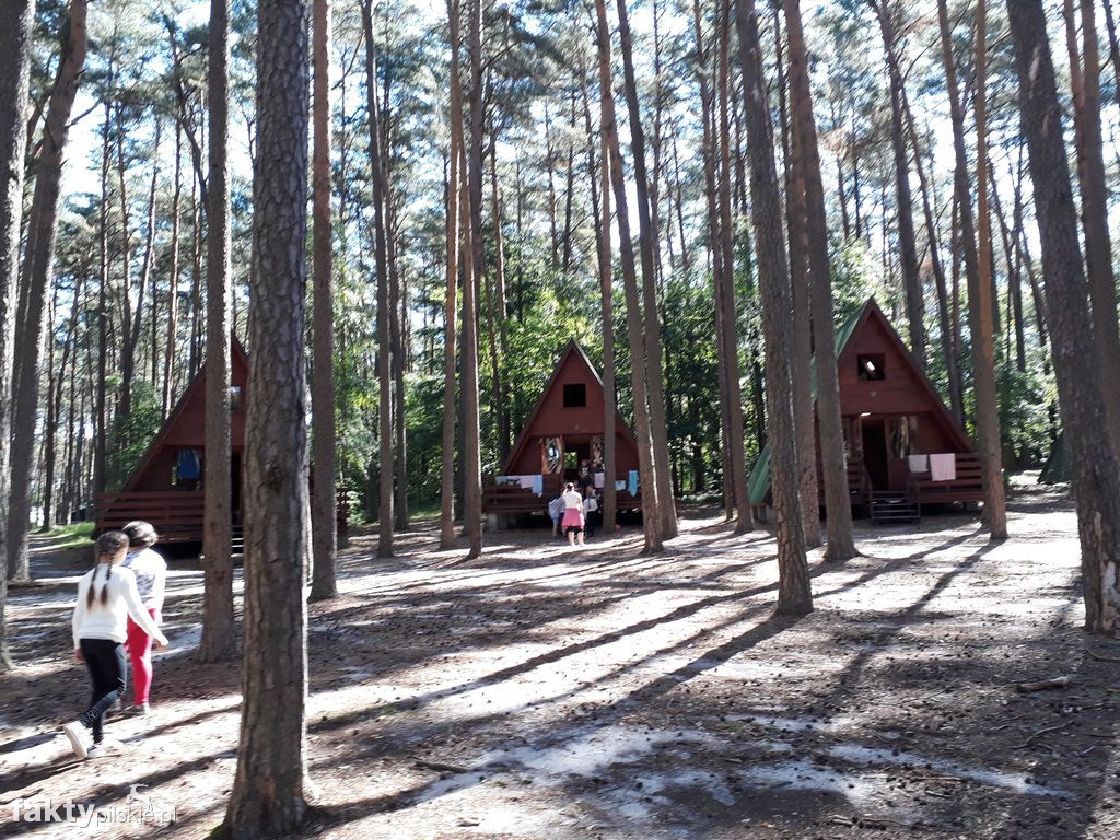 Białe Wilczki w Funce na Kaszubach