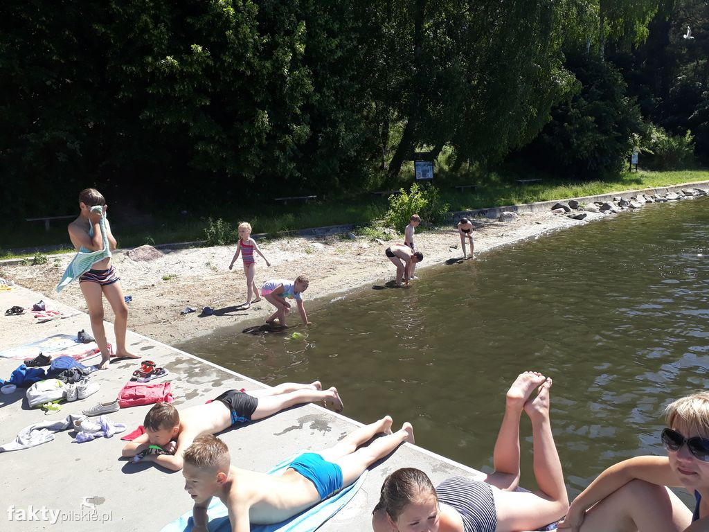 Białe Wilczki w Funce na Kaszubach