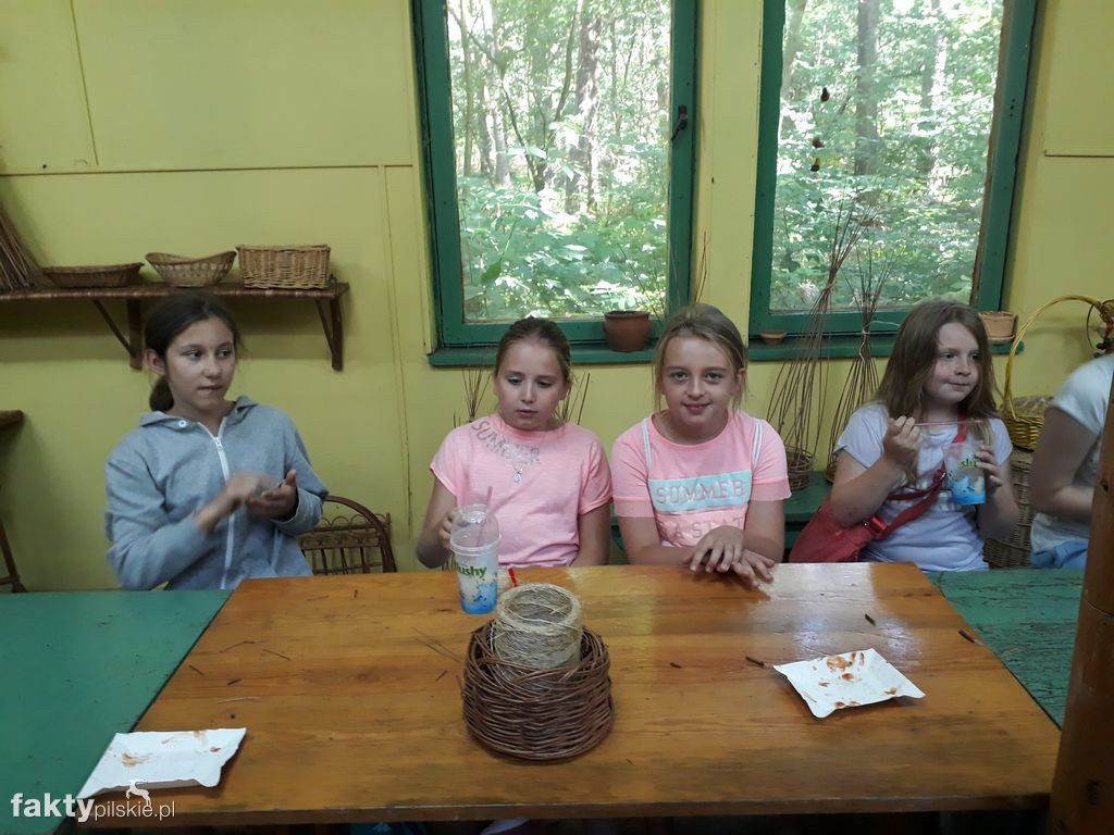 Białe Wilczki w Funce na Kaszubach
