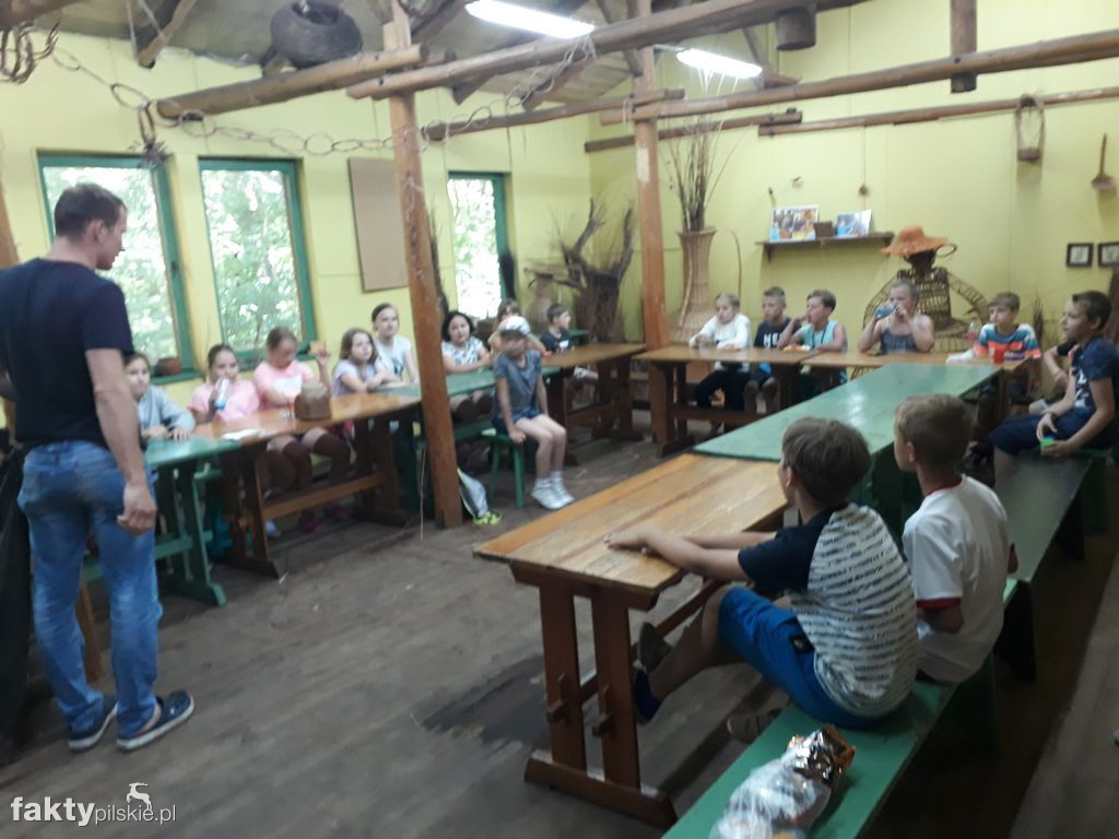 Białe Wilczki w Funce na Kaszubach