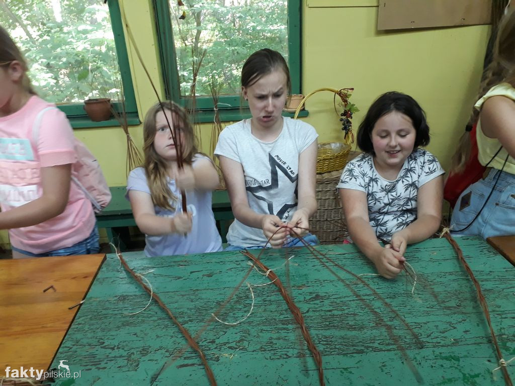 Białe Wilczki w Funce na Kaszubach