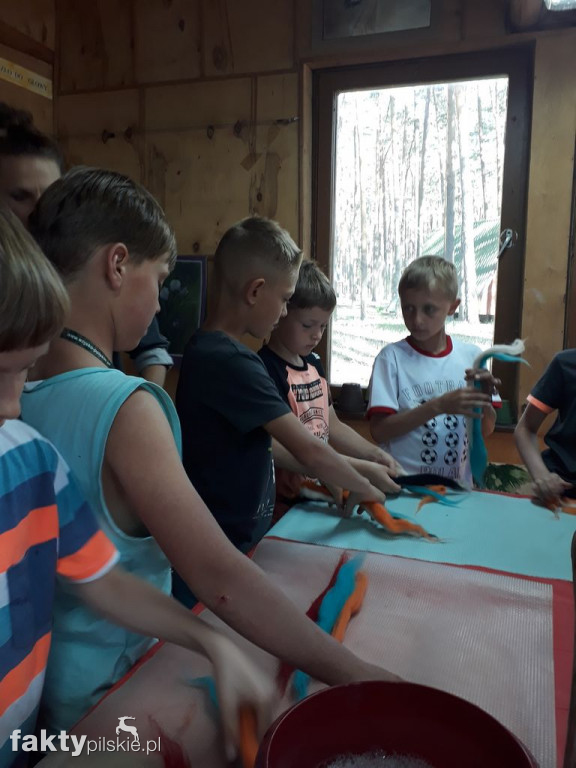 Białe Wilczki w Funce na Kaszubach