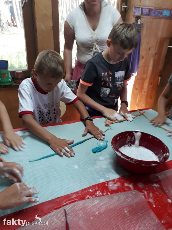 Białe Wilczki w Funce na Kaszubach