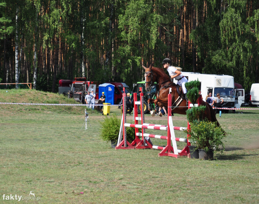 XVII Wielka Gala Jeździecka