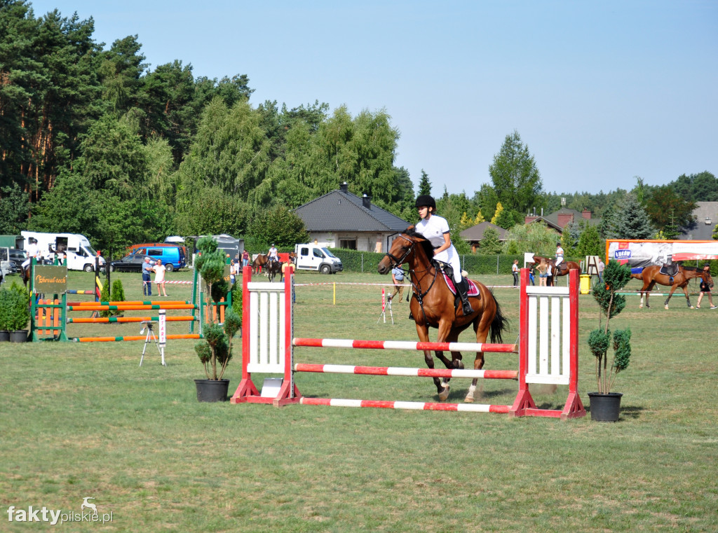 XVII Wielka Gala Jeździecka