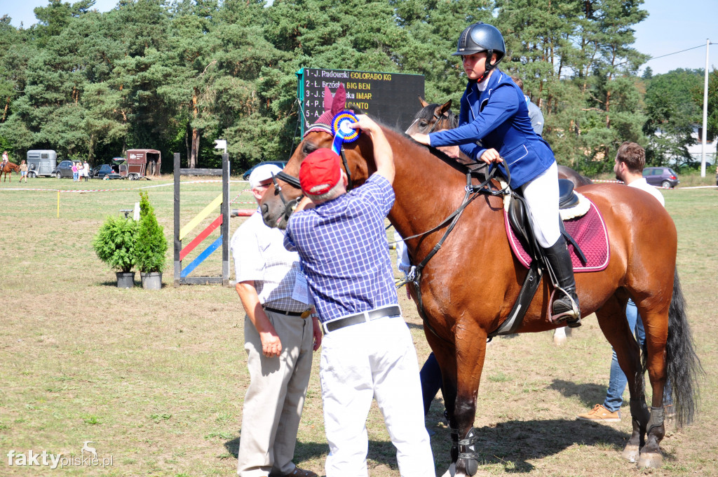 XVII Wielka Gala Jeździecka