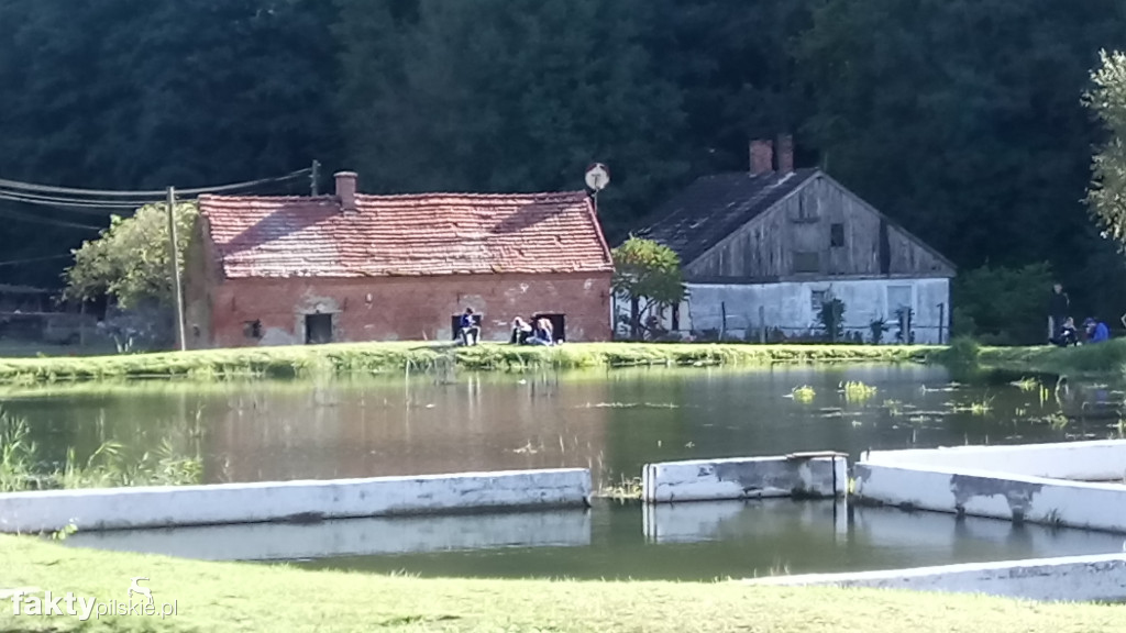 Piknik wędkarski w Kociku