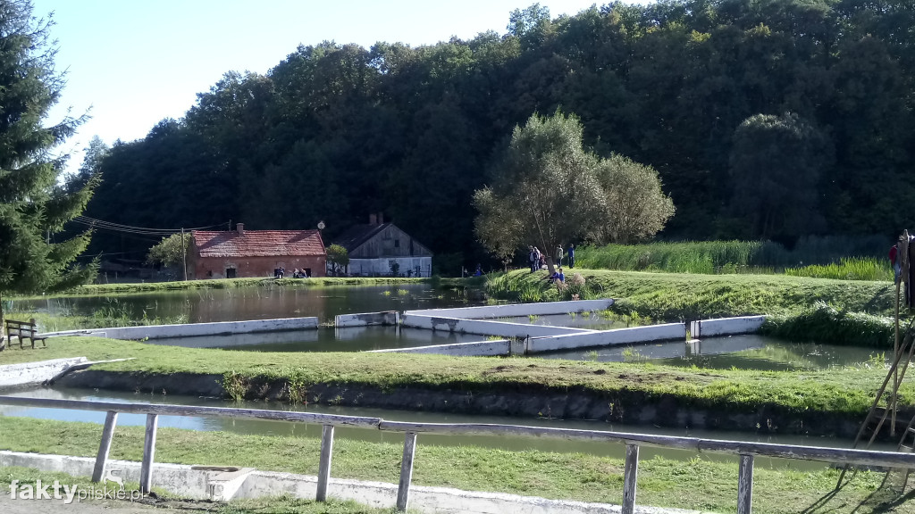 Piknik wędkarski w Kociku