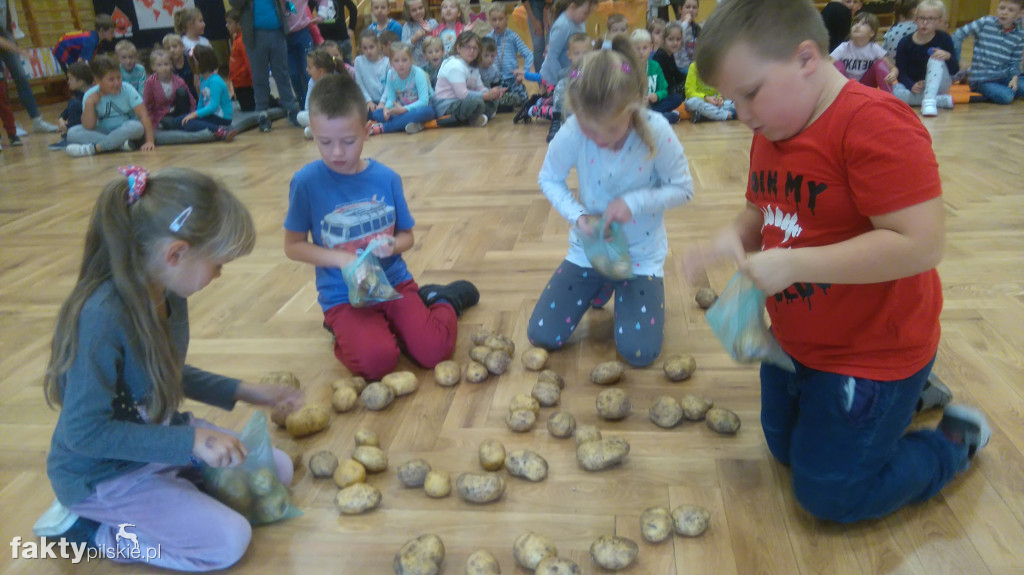 Wyrzysk Święto Pieczonego Ziemniaka