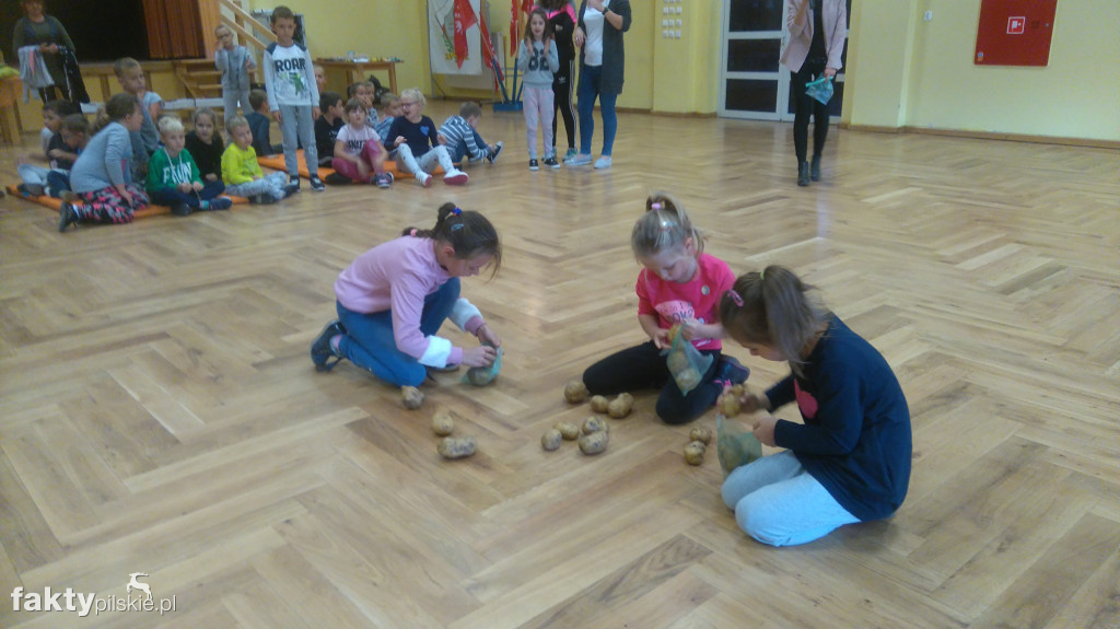 Wyrzysk Święto Pieczonego Ziemniaka