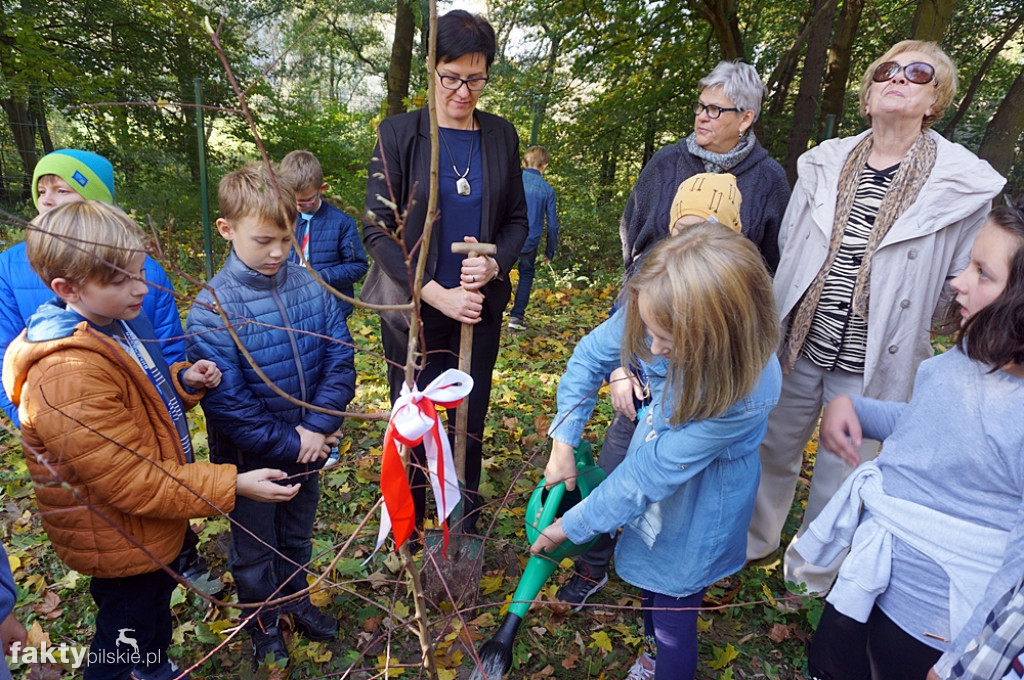 Spotkanie z literaturą i historią
