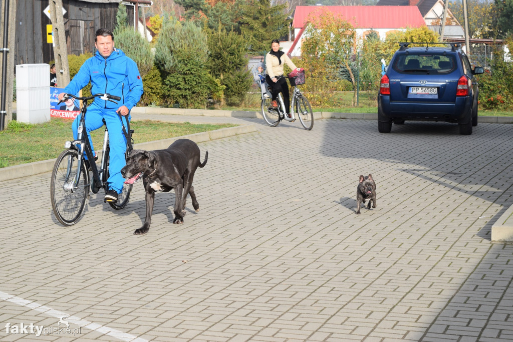 Rajd Rowerowy 'Przystanek Jeziorki'